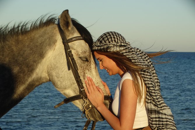 Horse Riding Tour 2 Hours on Sea And Desert & Transfer -Hurghada - Transfers, timing, and when the ride can feel shorter than expected