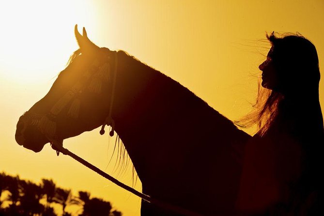 Horse Riding Tour 2 Hours on Sea And Desert & Transfer -Hurghada - Who should book this Hurghada sea-and-desert horse tour