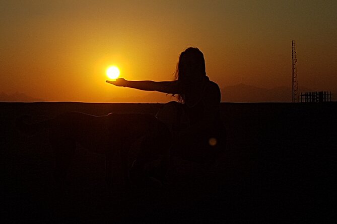 Horse Riding Tour 2 Hours Sea And Desert with Transfer - Hurghada - Key things to know before you go