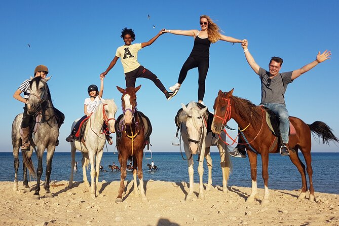 Horse Riding Tour 2 Hours Sea And Desert with Transfer - Hurghada - The Role of the Guide: Fun, Photos, and Also the Importance of Respect