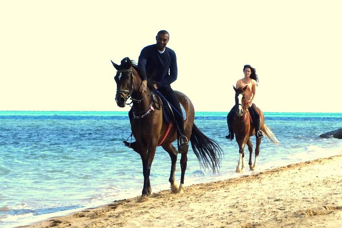 Horse Riding Tour 2 Hours Sea And Desert with Transfer - Hurghada - What’s Included, What’s Not: The Simple Checklist