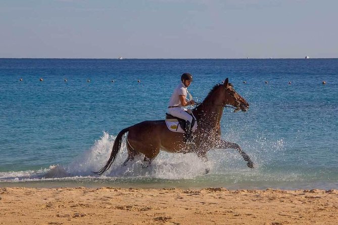 Horse Riding Tour 2 Hours Sea And Desert with Transfer - Hurghada - Timing, Tickets, and Getting Started Without Stress