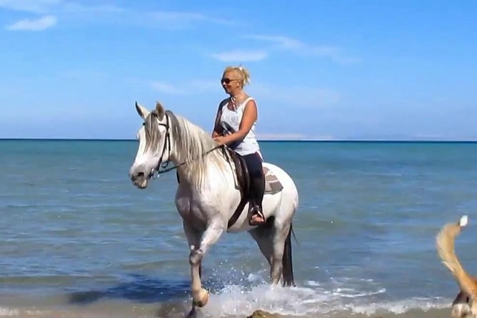 Horse Riding Tour Two Hours Sun & Sea With Transfer - Hurghada - Key Things That Make This Hurghada Horse Ride Worth It