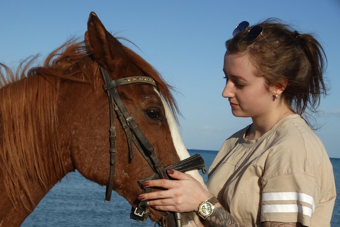 Horse Riding Tour Two Hours Sun & Sea With Transfer - Hurghada - One Hour in the Hurghada Desert: Views Plus a Learning Curve