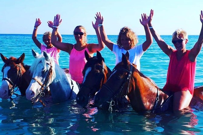 Horse Riding Tour Two Hours Sun & Sea With Transfer - Hurghada - One Hour in the Red Sea: When the Horse Actually Enters the Water