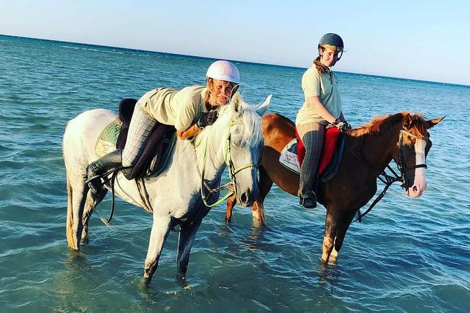 Horse Riding Tour Two Hours Sun & Sea With Transfer - Hurghada - The Group Size, Pickup Timing, and the Human Side