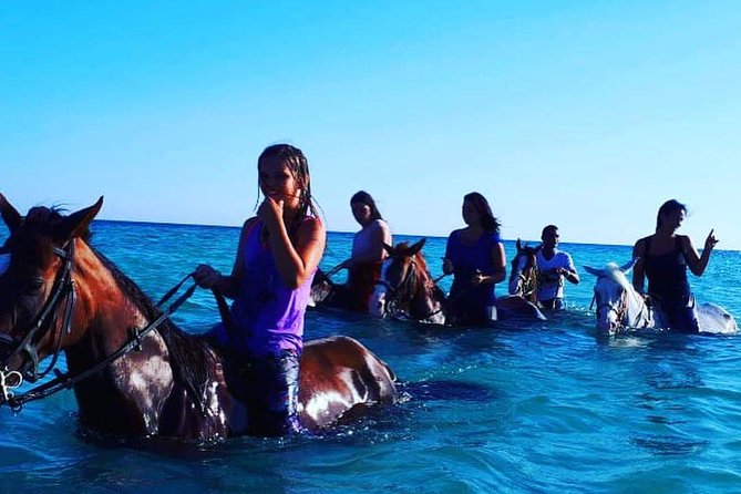 Horse Riding Tour Two Hours Sun & Sea With Transfer - Hurghada - Horse Quality and Rider Levels: Built for First-Timers
