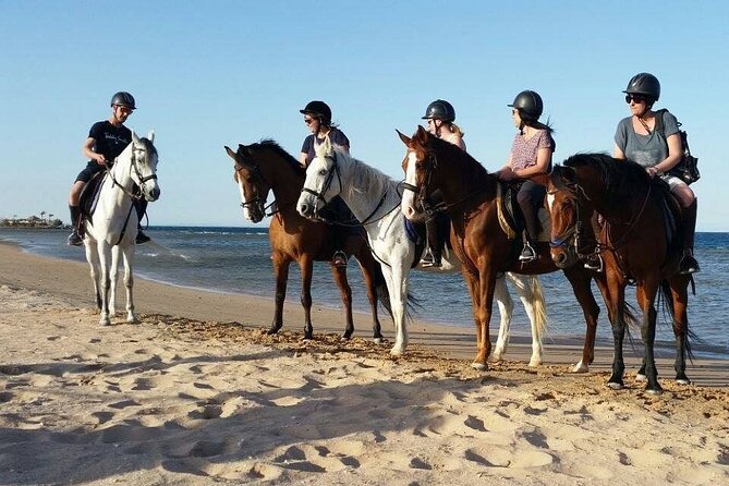Horseback Riding with Pickup and Drop-off from Sharm El Sheikh - Why this Sharm horseback ride feels special
