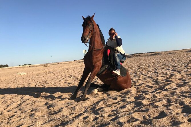 Horseback Riding with Pickup and Drop-off from Sharm El Sheikh - Pickup and timing: keep your plans flexible