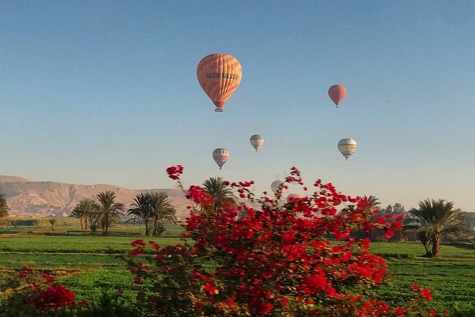 Hot Air Balloon Ride and Tour to Valley of Kings Luxor- Special Offer - Why this Luxor day works: balloon views plus West Bank tombs