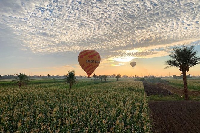 Hot Air Balloon Ride and Tour to Valley of Kings Luxor- Special Offer - Valley of the Kings with an Egyptology guide: what to focus on