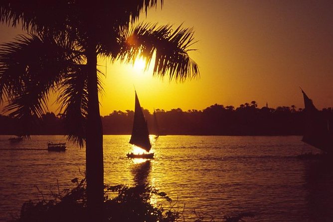 Hot air Balloon Ride In luxor - After landing: tea, the flight certificate, and the return ride