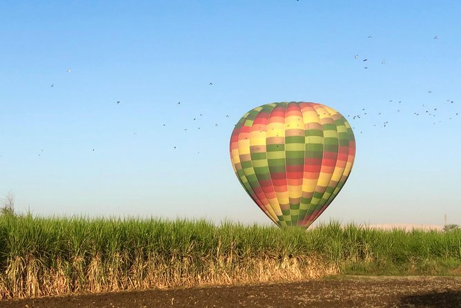 Hot Air Balloon Ride in Luxor Egypt with Transfers Included - After You Land: Drop-off, Timing, and the Little Extras