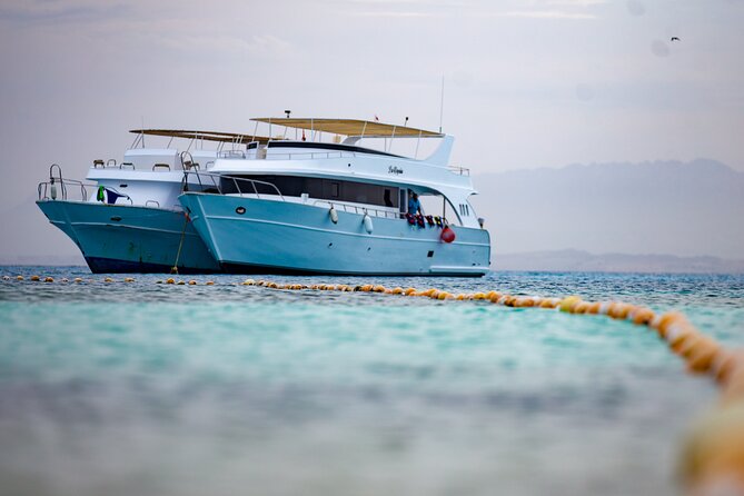 Hula Hula Island Snorkeling Sea Trip With Lunch - Hurghada - Price and extra fees: when $18 is a great deal and when it is not