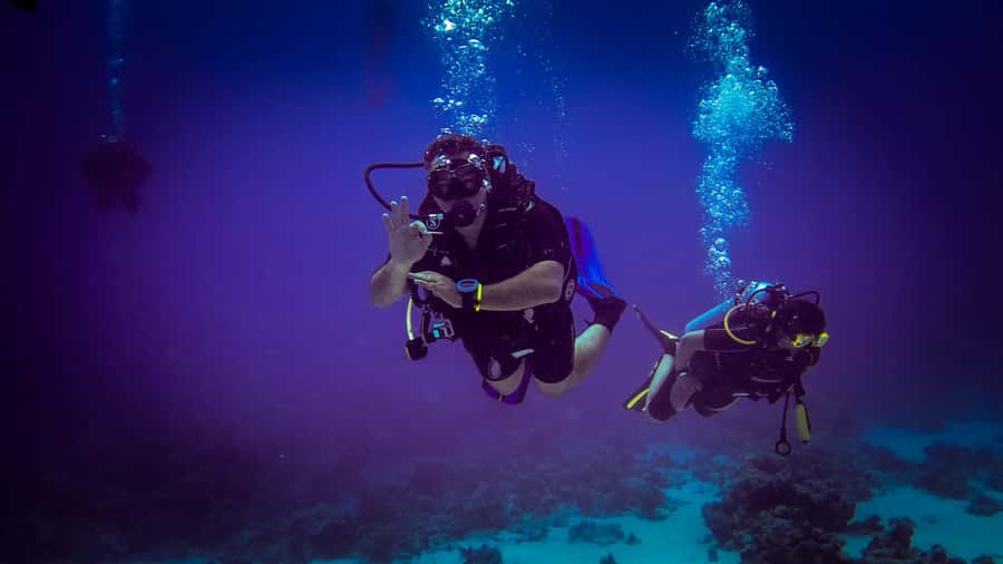 Hurghada: 1, 2, 3, 4, or, 5-Day Scuba Diving Package - On the water: two reef locations each day, chosen for the conditions