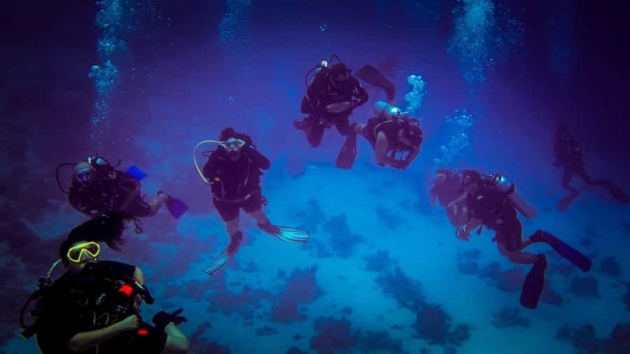 Hurghada: 1, 2, 3, 4, or, 5-Day Scuba Diving Package - Lunch buffet and all-inclusive details: small comfort, big impact