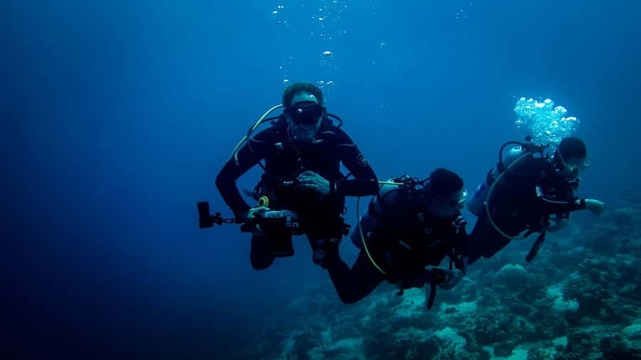 Hurghada: 1, 2, 3, 4, or, 5-Day Scuba Diving Package - Getting from your hotel to The Pure Coastal PADI center