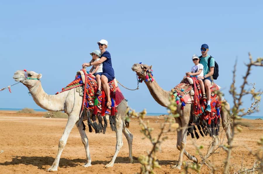 Hurghada: 1-Hour Desert & Beach Camel Ride with Transfers - Key things I’d circle before you book