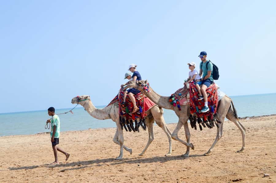 Hurghada: 1-Hour Desert & Beach Camel Ride with Transfers - Transfers and total duration: planning your day in Hurghada