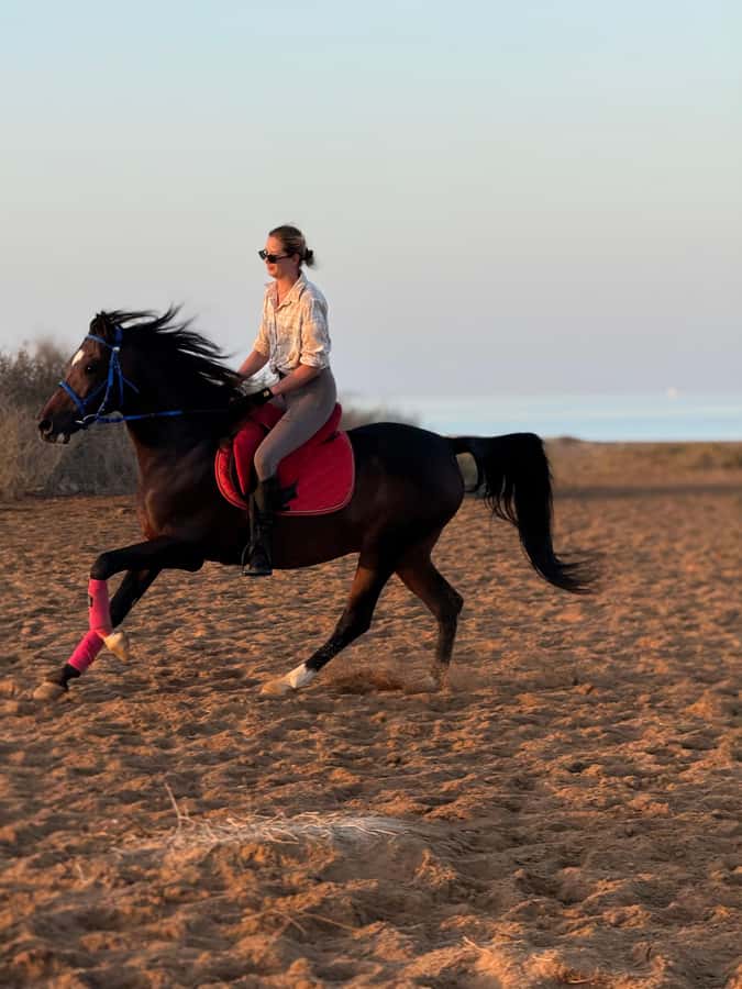 Hurghada: 1-Hour Desert & Beach Camel Ride with Transfers - Who this Hurghada camel ride is best for