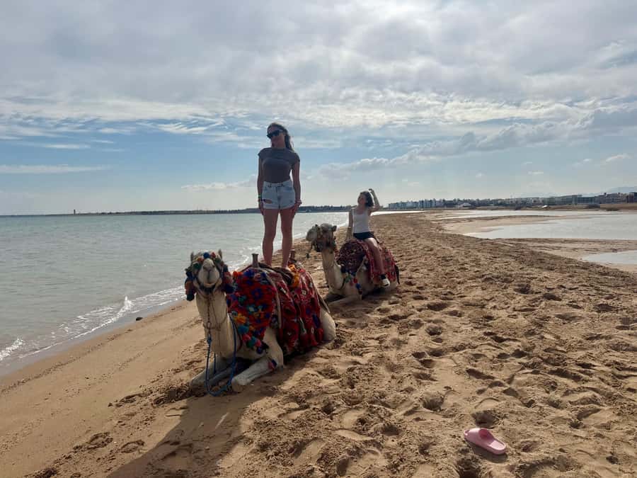 Hurghada: 1-Hour Desert & Beach Camel Ride with Transfers - Should you book the Hurghada 1-Hour Desert & Beach Camel Ride?