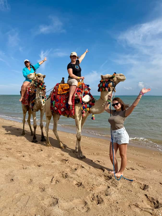 Hurghada: 1-Hour Desert & Beach Camel Ride with Transfers - Desert-to-Red-Sea timing: what actually happens during the 1-hour camel ride