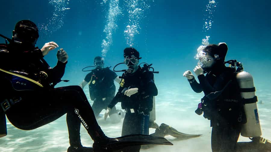 Hurghada: 3-Day PADI Open Water Diving Course - Your skill checklist, from gear setup to underwater communication