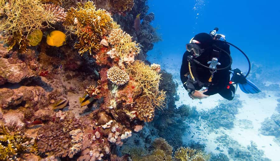 Hurghada: 3-Day PADI Open Water Diving Course - Is this good value for your Egypt trip?