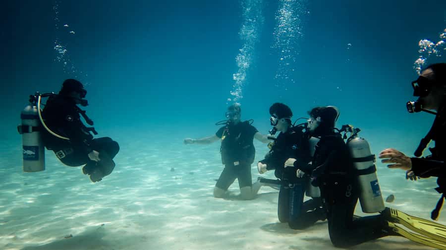 Hurghada: 3-Day PADI Open Water Diving Course - The teaching team, and why names like Khaled and Achmed matter