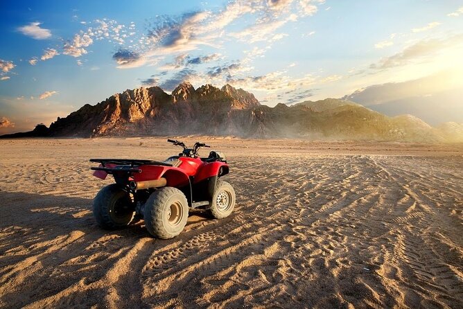 Hurghada: 3 Hours Quad Bike & Camel ride - Timing, sessions, and group size: morning vs evening matters