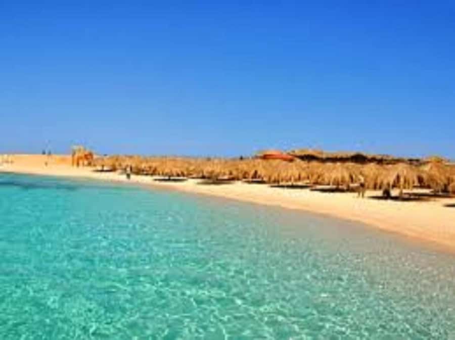 Hurghada: 3-Island Speedboat, Dolphin Watching & Snorkeling - Food, drinks, and onboard perks that add real value