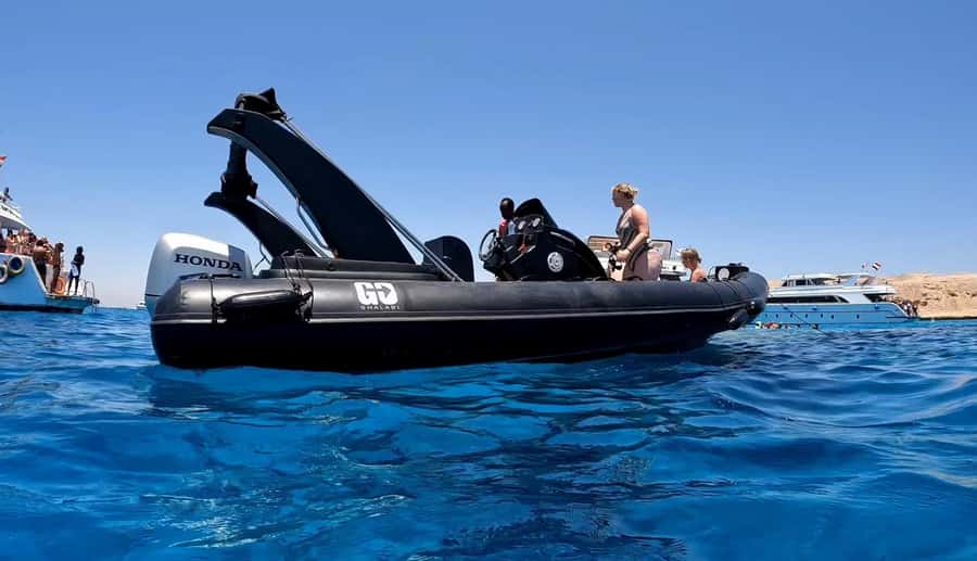 Hurghada: 3-Island Speedboat, Dolphin Watching & Snorkeling - Dolphin watching odds: what 80% really means to you