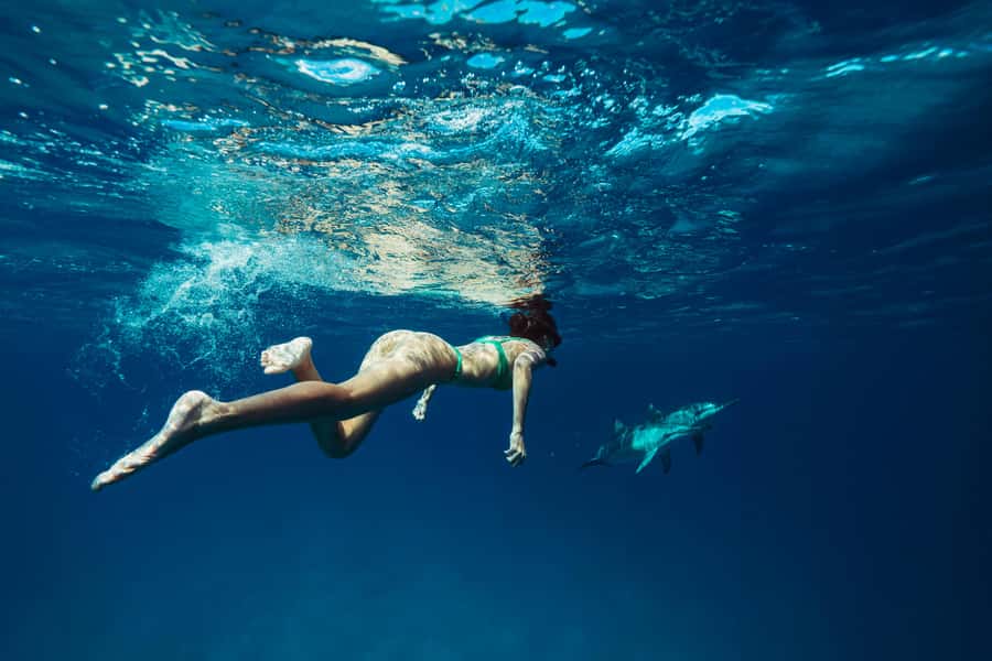 Hurghada: All-Inclusive Elite VIP Dolphin House & Massage - Dolphin House Reef: The 20 to 25 Minute Wild Dolphin Encounter