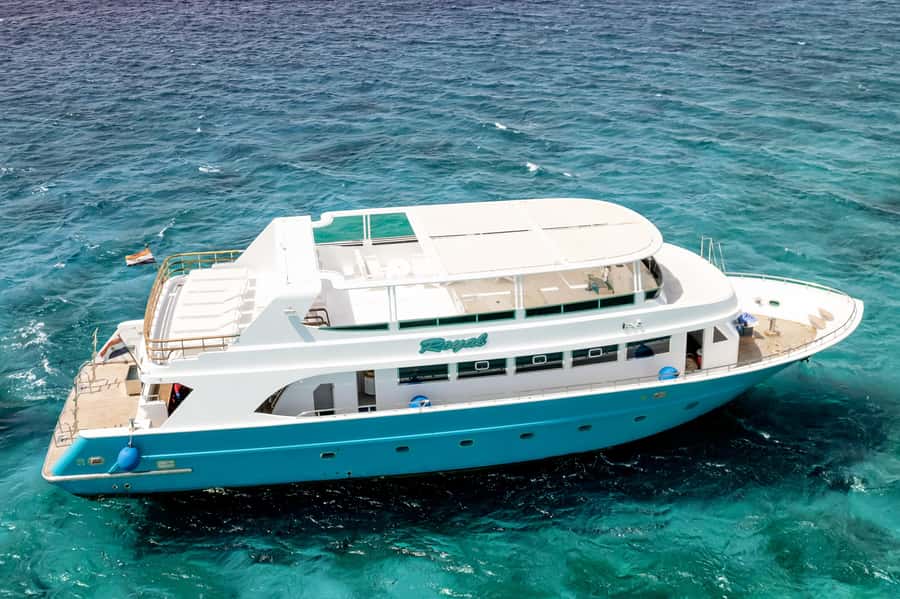 Hurghada: All-Inclusive Elite VIP Dolphin House & Massage - Practical Tips for a Smoother Day on the Red Sea