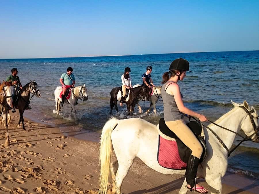 Hurghada: Arabian Desert and Sea Horseback Adventure - Sunrise Breakfast, Sunset Dinner Show, and Stargazing Options