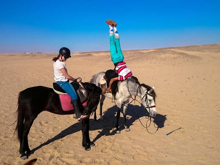 Hurghada: Arabian Desert and Sea Horseback Adventure - Transport, Group Size, and How to Keep It Comfortable