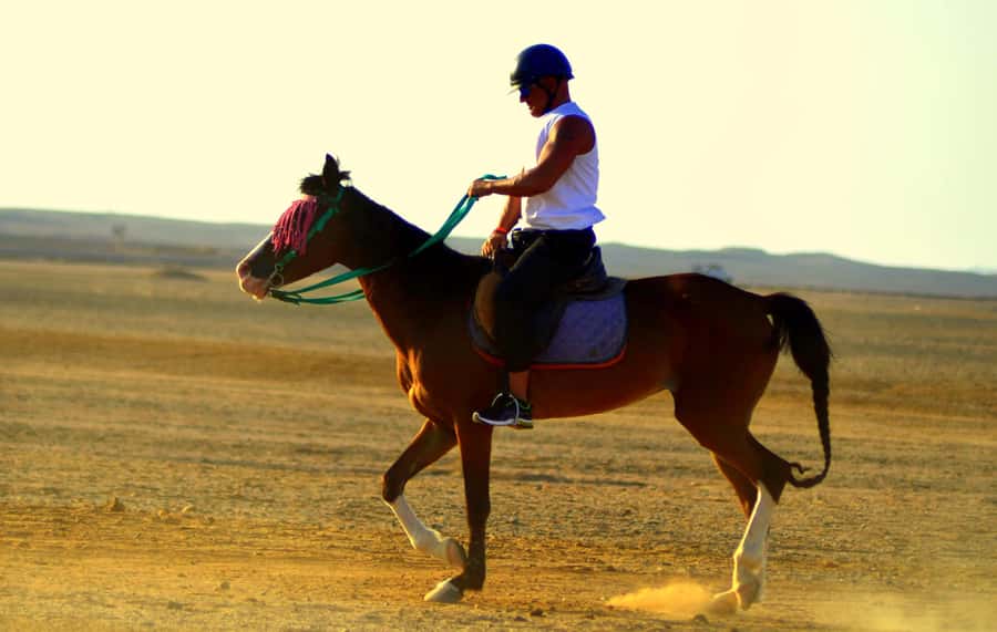 Hurghada: Arabian Desert and Sea Horseback Adventure - Who This Suits Best, and Who Should Skip It