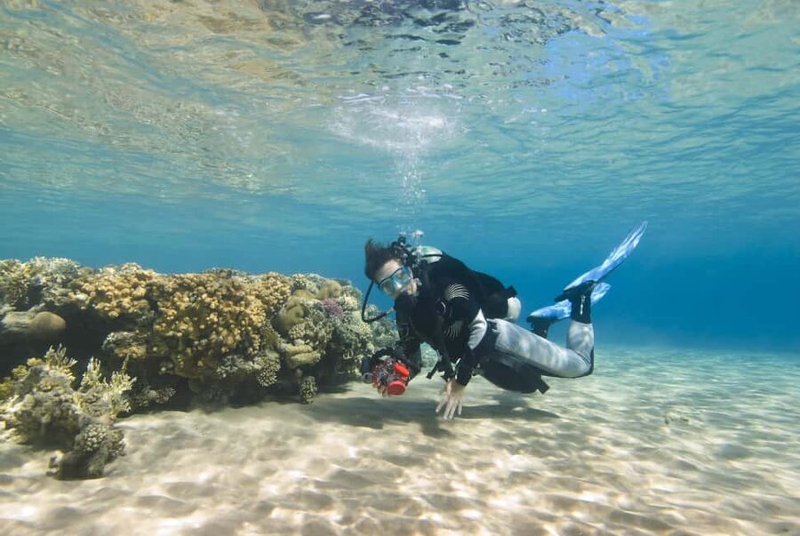 Hurghada: Beginners Scuba Diving Full-Day Boat Trip & Lunch - Who Should Book This Hurghada Beginner Plan (and Who Should Skip It)