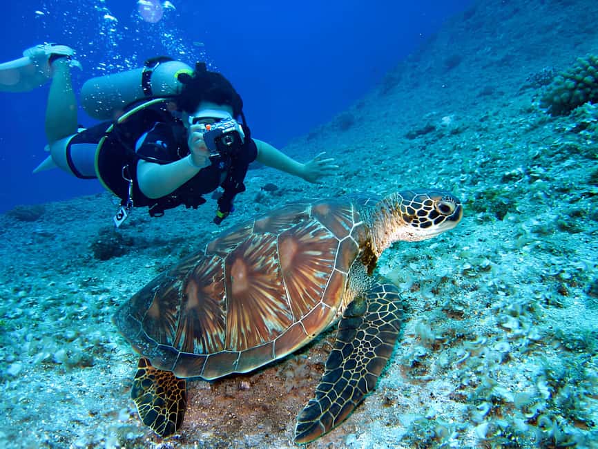Hurghada: Beginners Scuba Diving Full-Day Boat Trip & Lunch - Practical Tips for Your Day on the Water