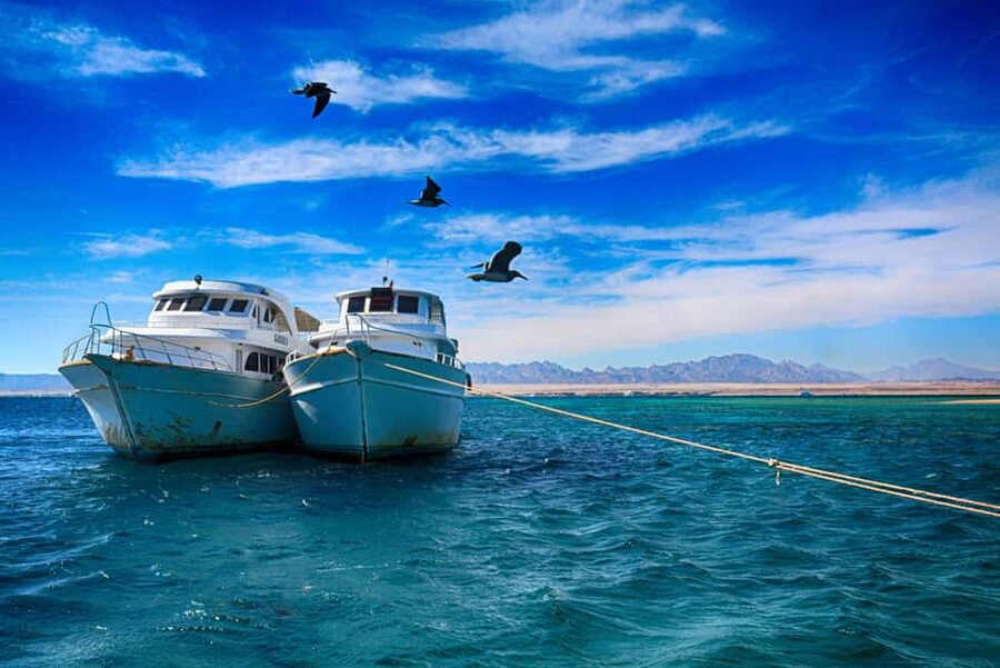 Hurghada: Beginners Scuba Diving Full-Day Boat Trip & Lunch - Should You Book This Hurghada Beginners Underwater Experience?