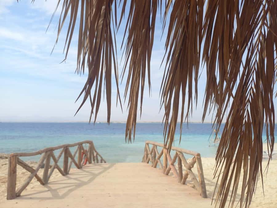 Hurghada: Boat trip to Magawish island with Multi Options - Snorkeling with a guide, and what that changes for you