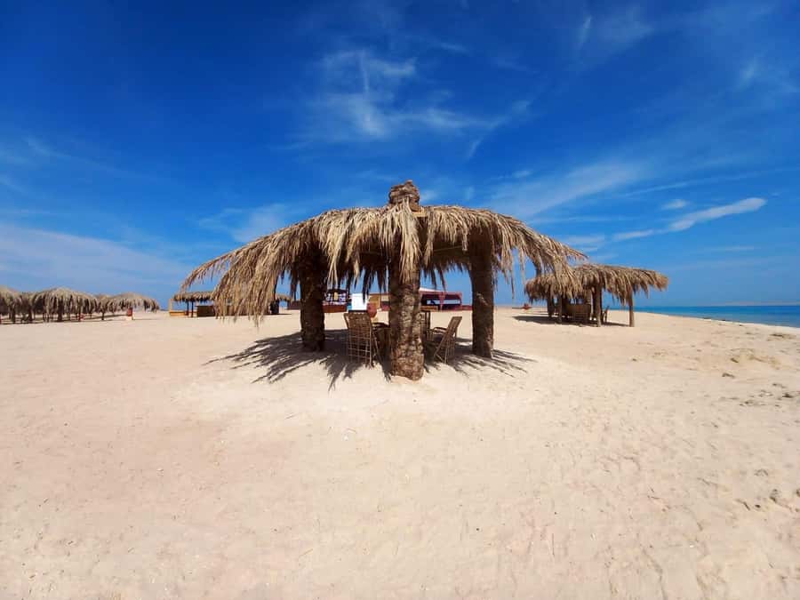 Hurghada: Boat trip to Magawish island with Multi Options - How the full 8 hours actually move