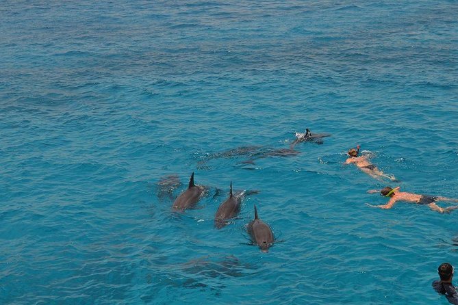 Hurghada Boat Trip to See Dolphins With Snorkeling and Lunch - Banana Boat and Sofa Boat: Included Fun With a Few Common-Sense Rules
