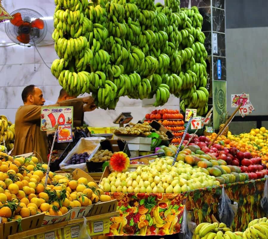 Hurghada: City Guided Tour with Local Market Stop - Hurghada Marina: photos first, then a real walk