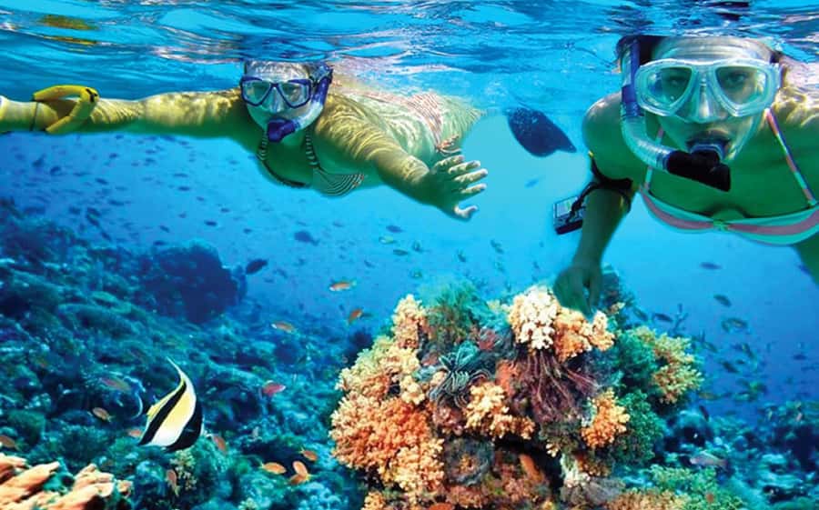 Hurghada: Day Snorkeling with Dolphins - Key points to know before you go