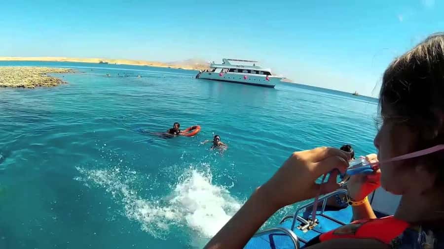 Hurghada: Day Snorkeling with Dolphins - Reef snorkeling after dolphins: coral, fish, and spotting without stress