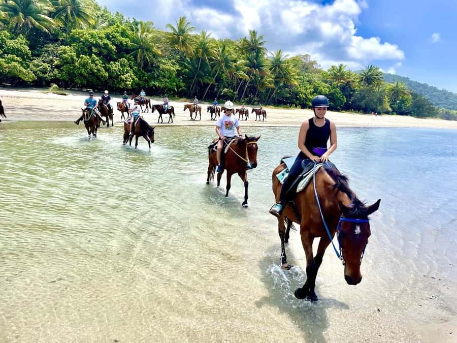 Hurghada: Desert and Sea Horseback Riding Tour with Transfer - From hotel pickup to stable arrival: how the 2 hours flow