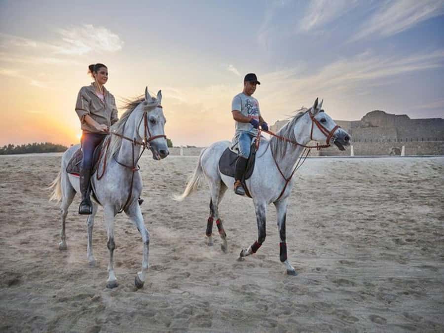 Hurghada: Desert and Sea Horseback Riding Tour with Transfer - Desert riding in Hurghada: pace, views, and the best moments