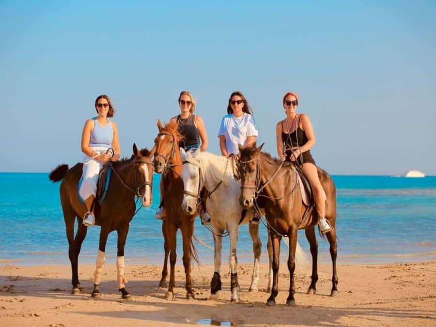 Hurghada: Desert and Sea Horseback Riding Tour with Transfer - Who should book this tour, and who should reconsider