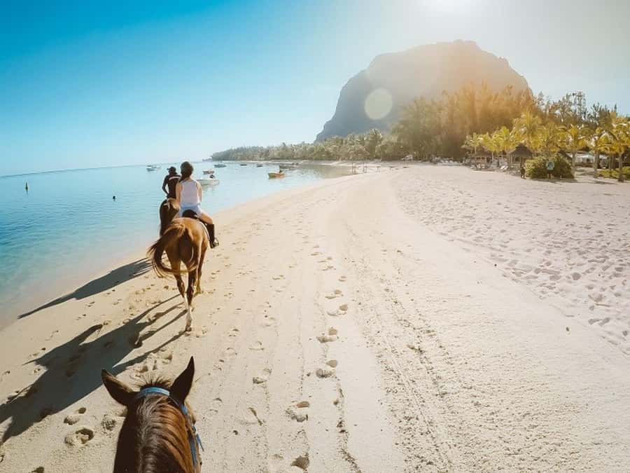 Hurghada: Desert and Sea Horseback Riding Tour with Transfer - Safety training and matching you with the right horse